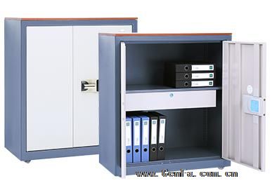 國保保密柜